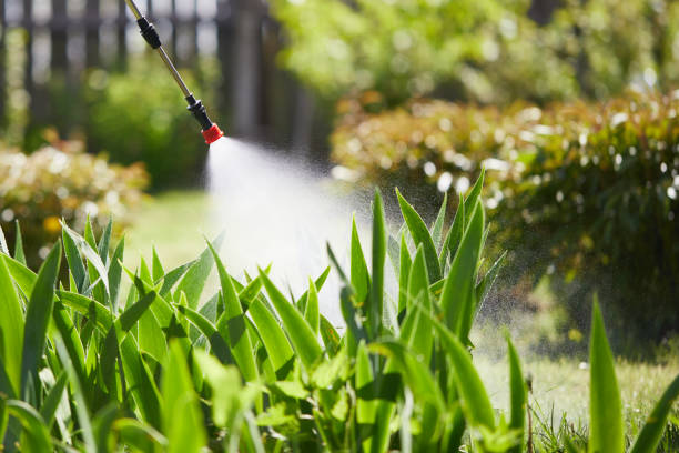 24/7 Emergency Mosquito Control experts in Parker, SC