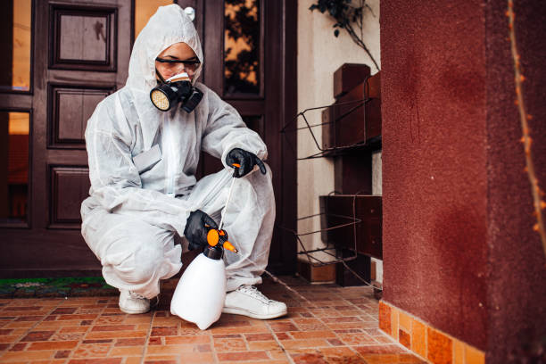 Reliable Mosquito Control contractor in Parker, SC by Show Me Pest Control