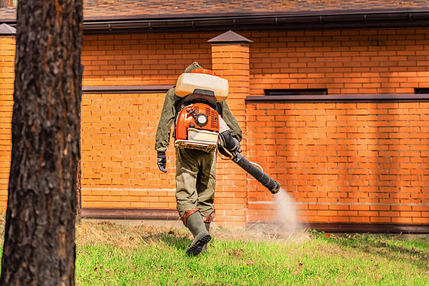 Top rated local Mosquito Control specialists in Parker, SC